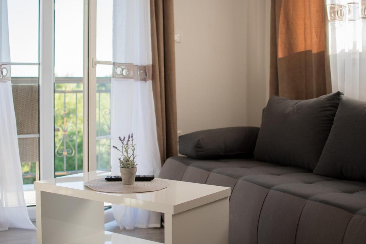 Lavanda House With Apartments Buje Exterior foto